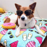 Summer Themed Dog Bed Pillow - Cute Dog Cushion For Your Favorite Pup
