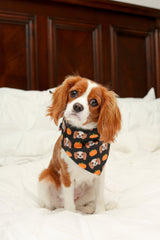 Fall Themed King Charles Spaniel Pet Bandana -  Pumpkin Spice and Everything Nice - Cute Fashion For Your Favorite Dog or Cat