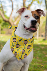 Inspired By Drake Triangle Dog Bandana -  Bad To The Bone Dog Banda - Cute Fashion For Your Favorite Pup